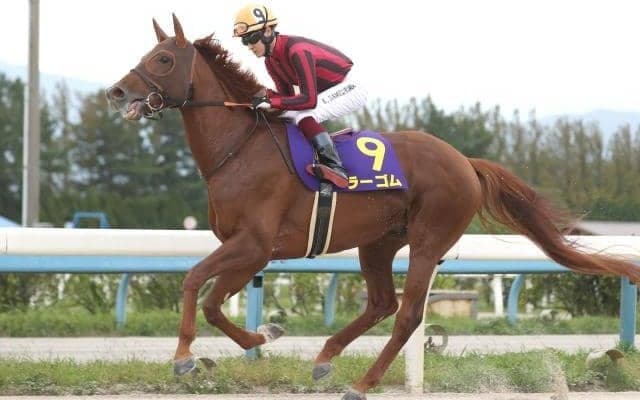 芝ダート双方で活躍したラーゴムが登録抹消 今後は乗馬に