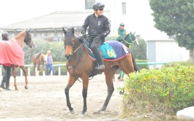 「いいモノを持っていることは確か」木村師も期待寄せるレガレイラ/関東馬メイクデビュー情報
