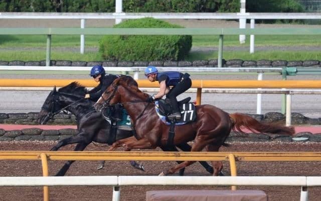 セレクト2億円超えの良血馬 ラケダイモーンが初陣/関西馬メイクデビュー情報