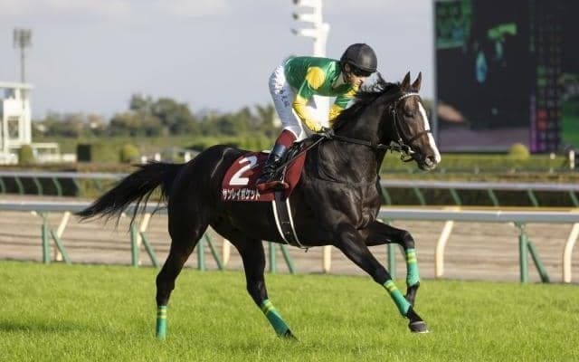 【AI予想・七夕賞】前走着順には要注意!? 難解なハンデ重賞で人工知能が推奨する本命候補3頭とは