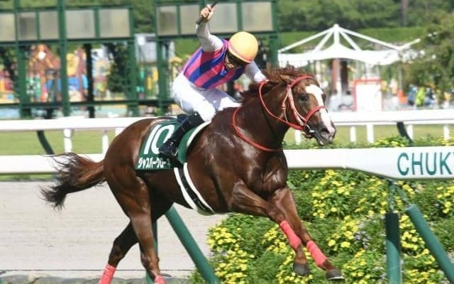 果敢な逃げでCBC賞制覇 僅か7頭の中から重賞ウイナー誕生