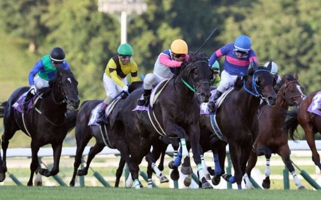 【盛岡・かきつばた賞】中央5勝馬ゴールドギアが移籍後初勝利…高橋悠「先頭に立ってトボけた」