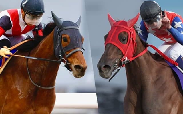 JRA所属の重賞4勝馬VS南関の女王 スパーキングレディーC注目馬3頭を紹介