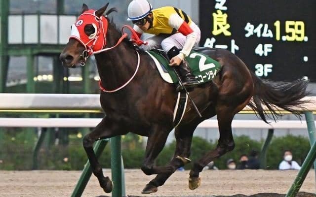 【函館記念想定】ユニコーンライオン、マイネルウィルトスなど14頭