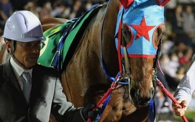 距離短縮は大得意のタガノビューティー プロキオンSで重賞タイトルをつかむ