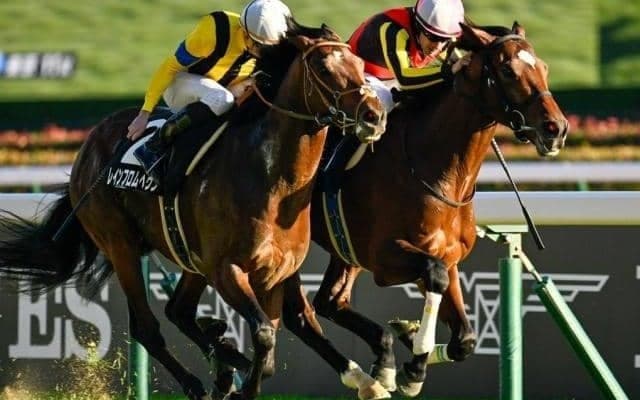 5連勝での重賞初Vには並み居るGI馬たち バトルボーンが七夕賞で肩を並べるか