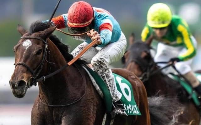 難解なハンデ重賞七夕賞 近10回は重量の重い馬が好成績!? 