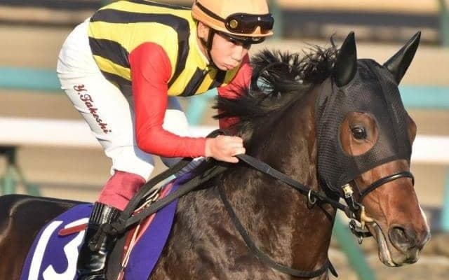 【マカオJCT】素質は重賞級!? ヴェルテンベルクが自己条件で必勝期す