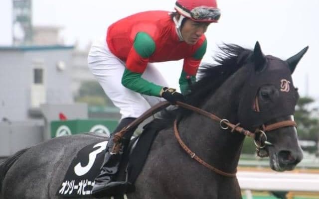 福島芝はディープ系に要注意 11Rはオンリーオピニオンの逃げ切りだ