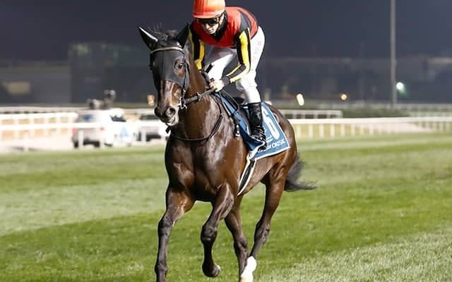 休養中のシャフリヤール 札幌記念に向け再来週にも競馬場入厩