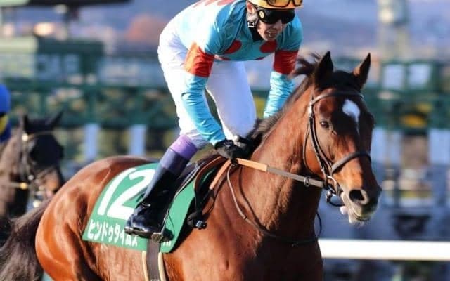 七夕賞の枠連「7-7」はどのくらい売れる？ 近年振るわぬ7枠馬