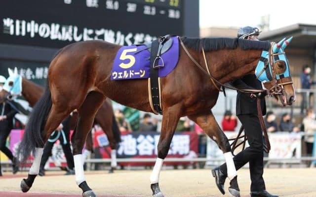 【今日の注目ポイント】函館メイン・マリーンSでウェルドーン復帰など