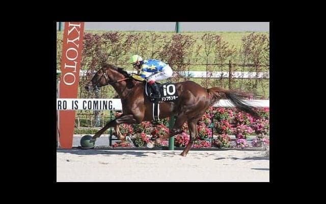 プロキオンＳは「コースの傾向」を見るべし　血統的視点で意外なデータも