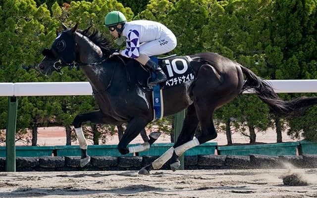 【マリーンS結果】ペプチドナイルが逃げ切ってオープン連勝！