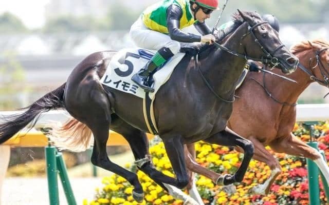 中京8R出走のレイモミが予後不良に 右第1指関節脱臼を発症