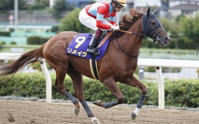 【今日の注目ポイント】福島で七夕賞、中京ではプロキオンS