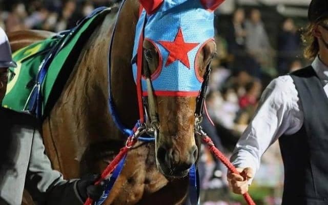 【プロキオンS予想】ブリンカー効果でレースぶり向上 悲願の重賞初Vへ