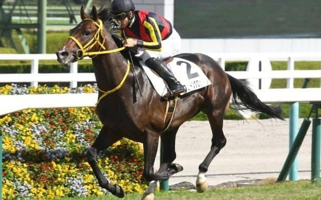 【七夕賞予想】1番人気馬は苦戦ぎみ 難解なサマー2000シリーズ開幕戦