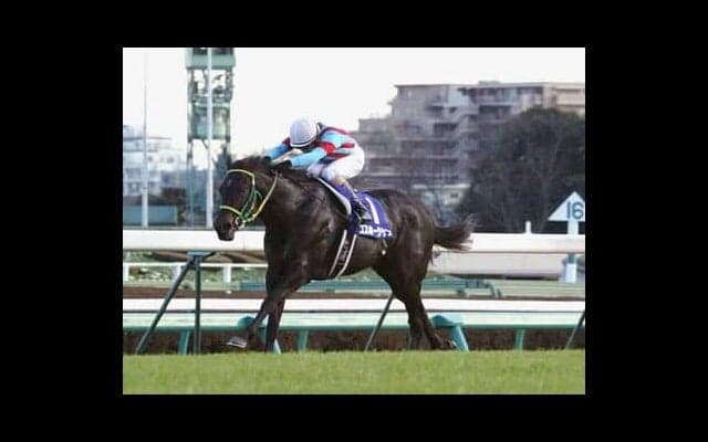 池江調教師が目を見張るインビジブルセルフ「雄大な馬体で、ダイナミックな走り」