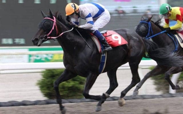 【高知・ヴェガ特別】キープイットシンポが準重賞V…赤岡「馬の力を信じて乗った」