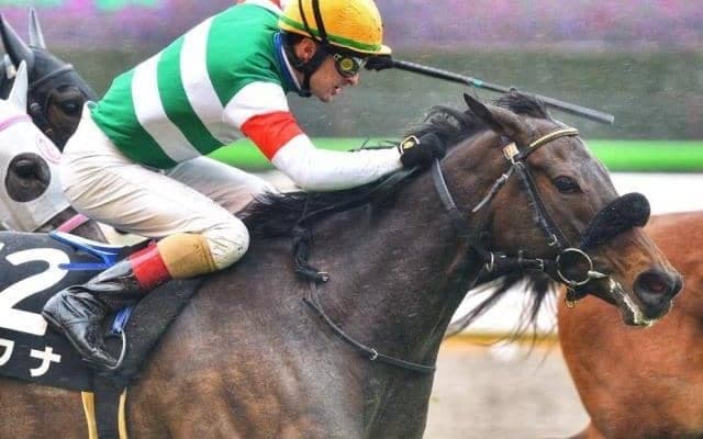 “七夕賞血統”が距離短縮で巻き返す