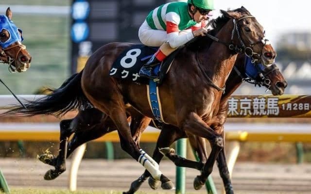 【七夕賞予想】人気薄で走る馬たちには共通点がある!? 狙うべきは2ケタ人気馬の3着付けパターン？