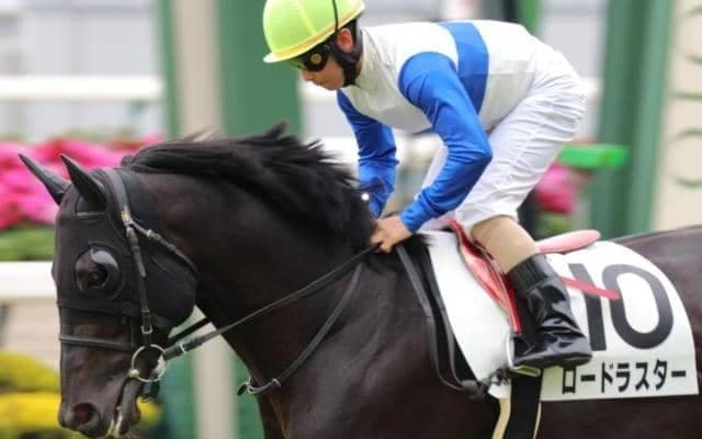 【彦星賞予想】前走はスロー+外枠に泣く 巻き返しに期待