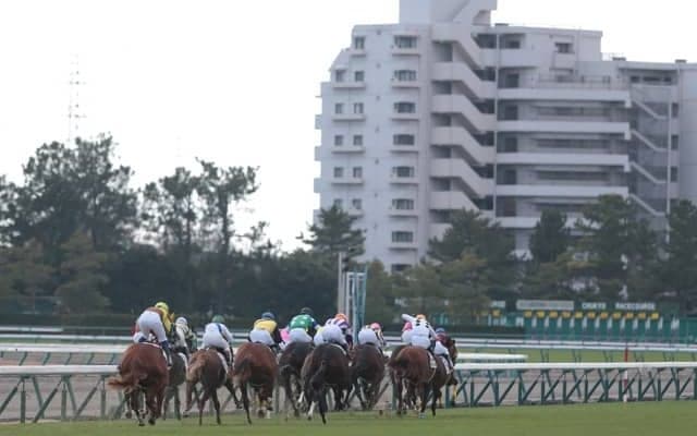 【中京6R新馬戦結果】4番人気のショウナンマヌエラが逃げ切りV
