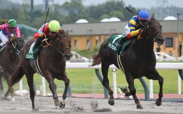 【JRA・WIN5】本日のWIN5は的中54票、配当827万1490円