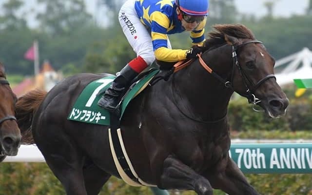 【プロキオンS結果】ドンフランキーが逃げ切って連勝、重賞初制覇！
