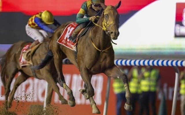 2700万円から世界の頂点に セレクトセール出身馬はこの1年も大活躍！