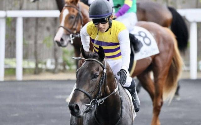 【新馬/福島6R】リーチザクラウン産駒 ニシノオウジョがデビューV…ガラクシアは直線で真っ直ぐ走れず