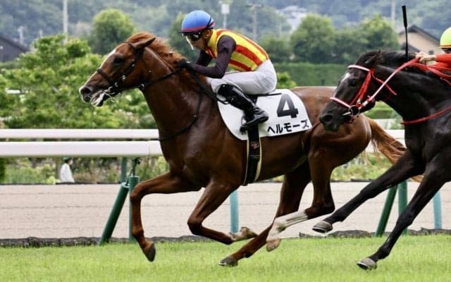 【新馬/福島5R】モーリス産駒 ヘルモーズがデビューV