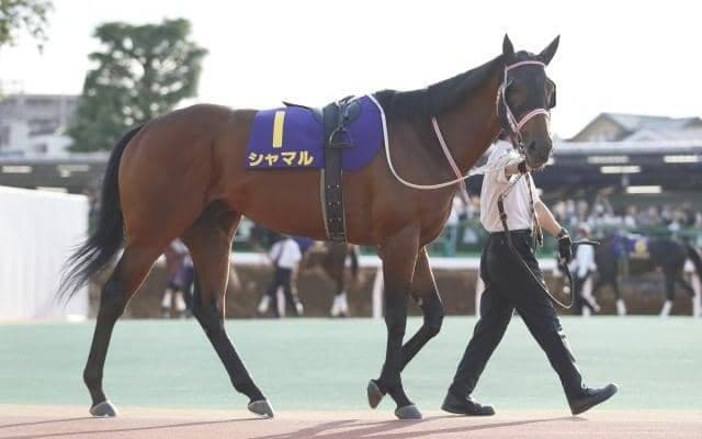 プロキオンSでシャマル除外など 9日の出来事一覧/函館・福島・中京