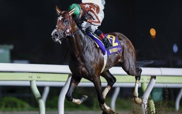 【JDD枠順確定】無敗三冠かかるミックファイアは6枠6番、兵庫CSで6馬身差圧勝のミトノオーは6枠7番