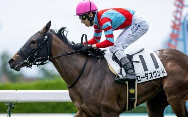 世代最初のJRA重賞・函館2歳S、今年で最後のJDDなど/今週の競馬界の見どころ