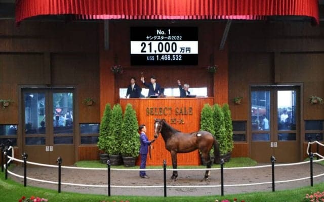 この2年でG1馬8頭を輩出！日本最大のセレクトセール2023が開幕…上場番号1番 キズナ産駒が2億1000万円で落札