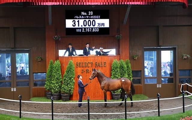 兄ジャスティンパレスのシルバーステート産駒は3億1000万円で落札 セレクトセール2023
