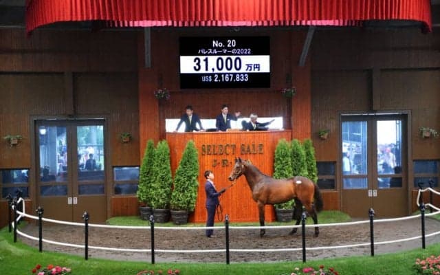【セレクトセール2023】ジャスティンパレス半弟が3億1000万円で落札