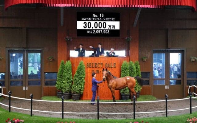 【セレクトセール2023】また出た3億！キングマン産駒が落札