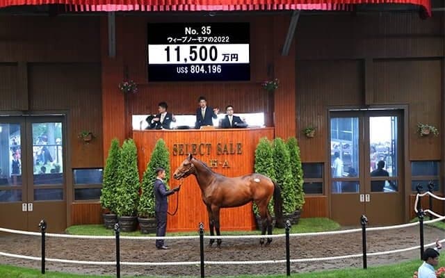 ドゥラメンテ産駒最終世代の1頭 ウィープノーモアの2022は1億1500万円で金子真人HDが落札