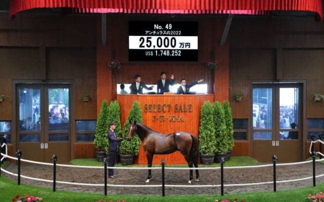 【セレクトセール2023】追分ファーム生産、エピファネイア産駒が2億5000万円で落札