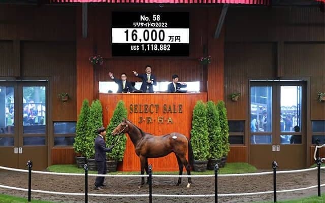 リスグラシューの弟リリサイドの2022は1億6000万円 金子真人ホールディングスが落札