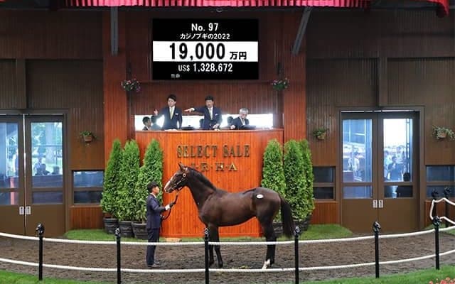 ジャスティンカフェの弟は1億9000万円 「ダノン」の冠名で知られるダノックスが落札