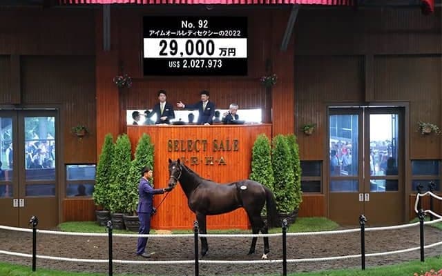 キタサンブラック産駒のアイムオールレディセクシーの2022は2億9000万円 「アスク」の冠名で知られる廣崎利洋HD(株)が落札
