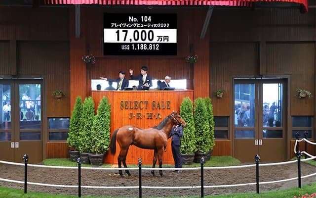 価格は1億7000万円 金子真人HDが米G1・2勝馬の仔を落札