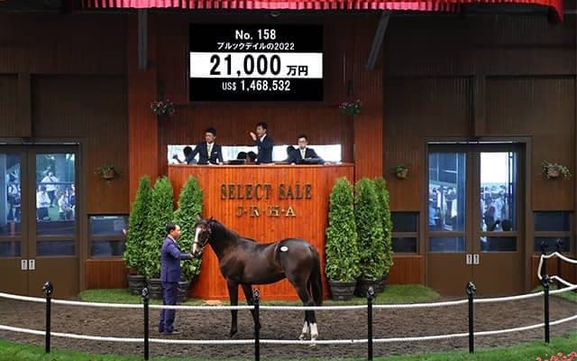 近親にマンハッタンカフェ 金子真人HDが2億1000万円でブルックデイルの2022を落札