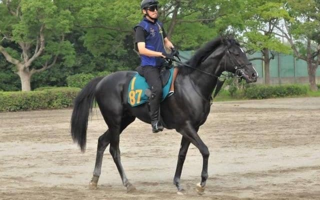 エリ女覇者レインボーダリアの仔 栗田師も素質認めるレッドレフィナード/関東馬メイクデビュー情報