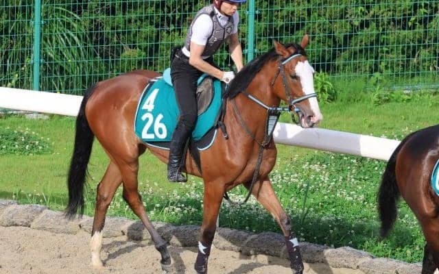 叔父にシャフリヤールやアルアインがいる良血馬 ゴージャスゴールドが初陣/関西馬メイクデビュー情報