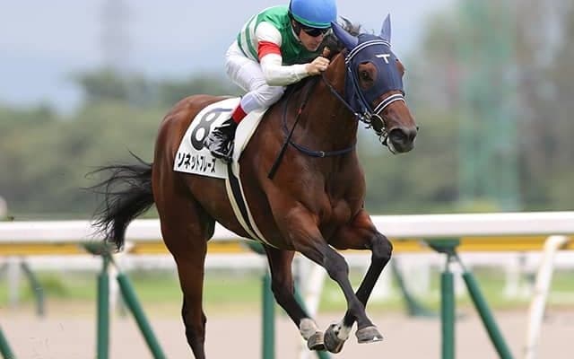 【先週のJRA抹消馬】21年デイリー杯2歳S2着のソネットフレーズや芝OP馬インテンスライトなど